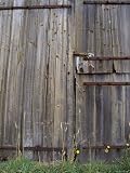 Dilapidated Antique Timber Doors and Bolts, on a Wooden Barn, Australia Photographic Poster Print by Jason Edwards, 18x24