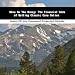 Book Show Me The Money: The Financial Side of Selling Classic Cars Online