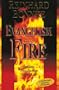 Evangelism by Fire: Igniting Your Passion for the Lost