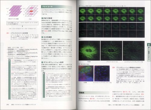 Cover image : 染色・バイオイメージング実験ハンドブック―細胞や組織の形態・遺伝子・タンパク質を観るための染色法と顕微鏡観察のすべて (実験医学別冊)