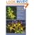 African Orchids in the Wild and in Cultivation