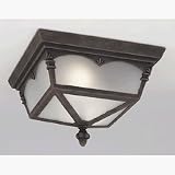 Designers Fountain 2827-AG Quintessence Outdoor Ceiling Light Autumn Gold 11 w x 7-3/4 h