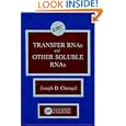 Transfer RNAs and Other Soluble RNAs