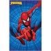 Kitchen & Housewares : Spiderman Spidey's Web Rug