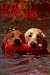 Cal 99 Golden Retrievers Calendar