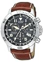 Citizen Eco-Drive Men's Perpetual Calendar Watch #BL5250-02L