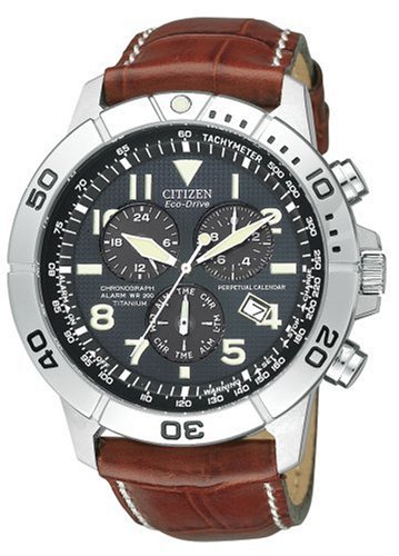 Citizen Eco-Drive Men's Perpetual Calendar Watch #BL5250-02L