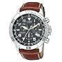 Citizen Eco-Drive Men's Perpetual Calendar Watch #BL5250-02L