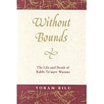 Without Bounds: The Life and Death of Rabbi Ya'Aqov Wazana (Raphael Patai Series) book cover