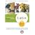 Latin Made Simple: A complete introductory course with practice readings and exercises, plus a handy Latin/English vocabulary