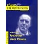 K�nigs Erl�uterungen und Materialien, Bd.301, Ansichten eines Clowns