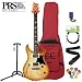 Paul Reed Smith SE Custom Semi-Hollow Vintage Natural Electric Guitar Kit with Gig Bag & PRS Pick Sampler Pack - Includes: Fender FT-004 Clip-on Tuner, Fender 10' Cable, Guitar Stand, and Strap