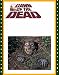 Full Skull Halloween Yard Prop Halloween Decorations