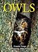 Owls