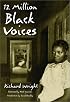 12 Million Black Voices