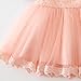 Mini Kitty Baby Girls Dresses Pageant Lace Formal Dress