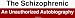 The Schizophrenic An Unauthorized Autobiography Large Bumper Sticker