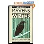 Ravens in Winter