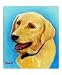 One Of Man's Best Friends (Yellow Labrador Retriever) Animals Giclee Poster Print by Rhonda Watson, 16x20