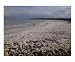 A beach of salt - the Dead Sea, Ein Gedi Spa, Israel