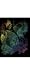 Rainbow Engraving Tropical Fish
