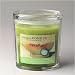 Colonial At Home Cucumber Melon Oval Jar Candle 22 Oz.