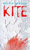Kite (Puffin Teenage Fiction)