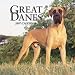 Great Danes International 2007 Calendar by Browntrout Publishers