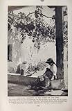 PEASANT WOMAN SPRING VICINITY LAS PALMAS CANARY ISLAND