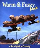 Warm and Fuzzy: A Ferret Guide to Friendship