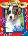Paint By Numbers - Series D Dog