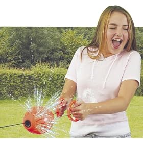 Sonic Splash Zoom Ball