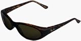Ray-Ban RB2015 Daddy-O Oval Wrap