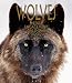 Book Wolves