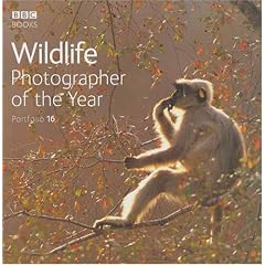 Wildlife Photographer of the Year: Portfolio 16