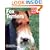Fox Terriers (Complete Pet Owner's Manual)