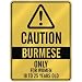 burmese6 - CAUTION BURMESE ONLY FOR WOMEN 18 TO 25