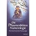 Die Pflaumenbl�ten Numerologie: Die hohe Kunst der Voraussage
