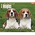 For the Love of Beagles 2015 Deluxe Wall Calendar