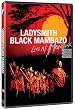 Ladysmith Black Mambazo: Live at Montreux (2005)