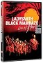 Ladysmith Black Mambazo: Live at Montreux (2005)