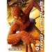 Spider-Man [DVD] [2002]
