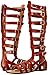 Madden Girl Women's Penna Gladiator Sandal