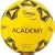 Kickmaster Academy Training Ball