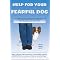 Help a Shy or Fearful Dog