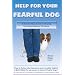 Help a Shy or Fearful Dog