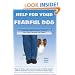 Help for Your Fearful Dog: A Step-by-Step Guide to Helping Your Dog Conquer His Fears