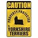 yorkshire_terrier6yorkshire terrier - CAUTION PROPERTY PROTECTED BY YORKSHIRE TERRIERS PARKING SIGN