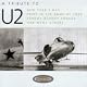 Tribute to U2