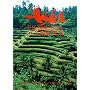 Asia: the Beautiful Cookbook